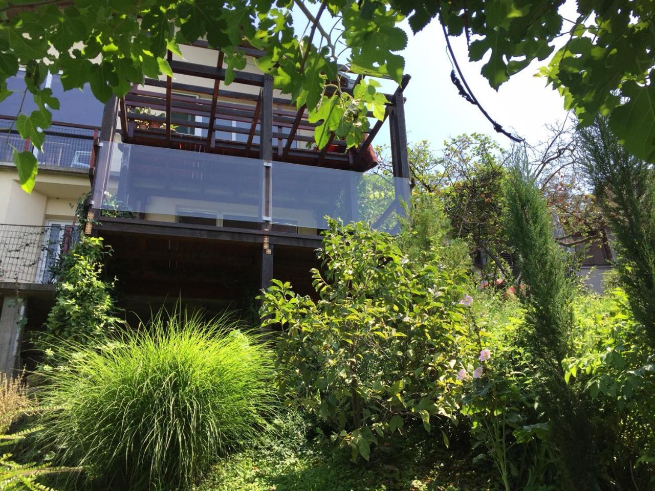 Pergola House In A Green Oasis With Fantastic View Διαμέρισμα Petrovaradin Εξωτερικό φωτογραφία