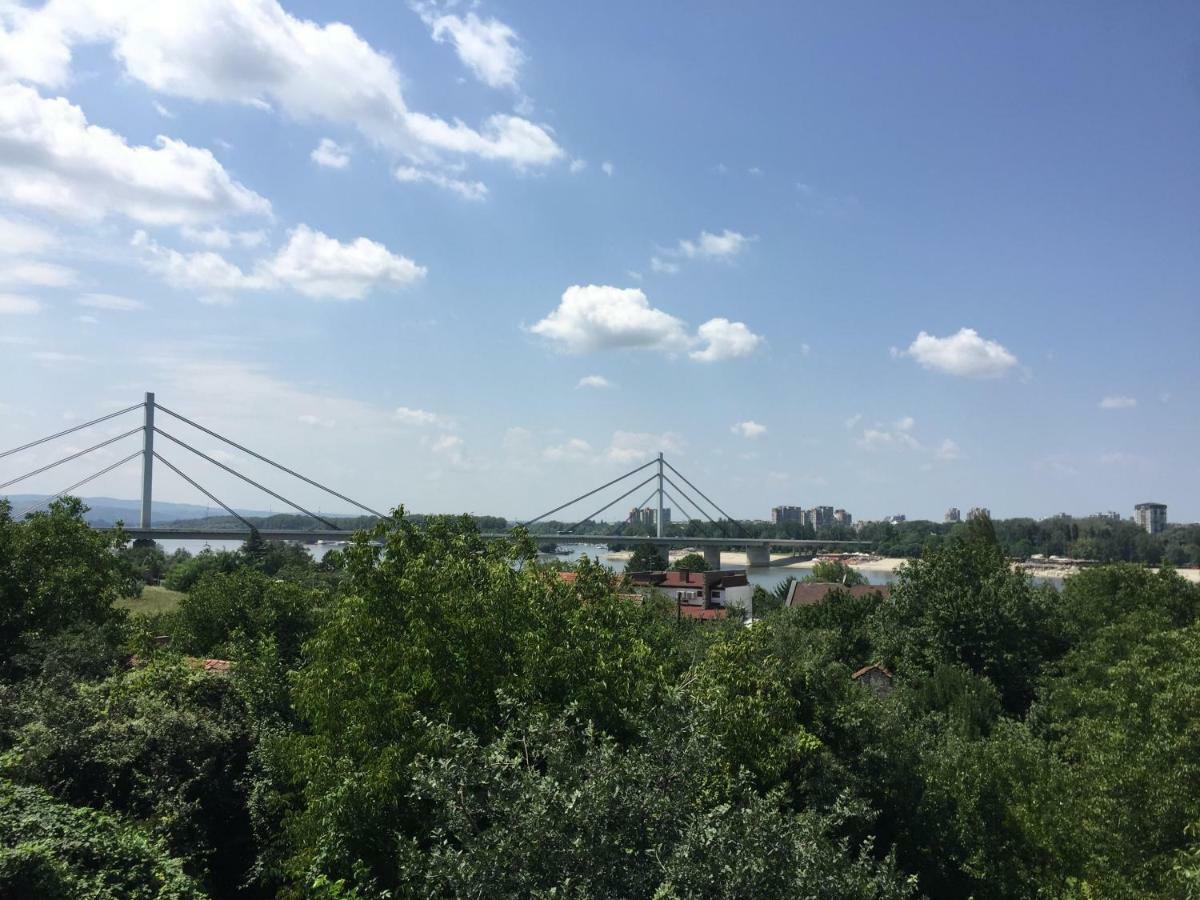 Pergola House In A Green Oasis With Fantastic View Διαμέρισμα Petrovaradin Εξωτερικό φωτογραφία