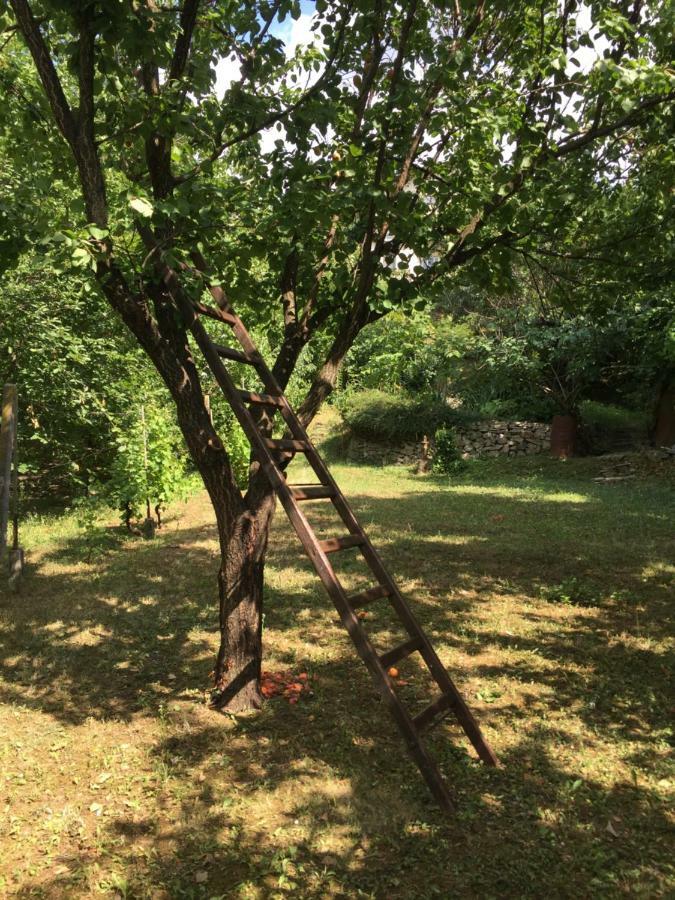 Pergola House In A Green Oasis With Fantastic View Διαμέρισμα Petrovaradin Εξωτερικό φωτογραφία