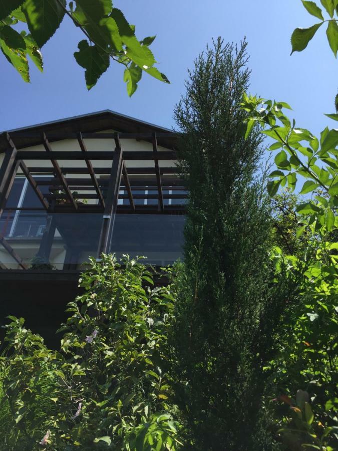 Pergola House In A Green Oasis With Fantastic View Διαμέρισμα Petrovaradin Εξωτερικό φωτογραφία